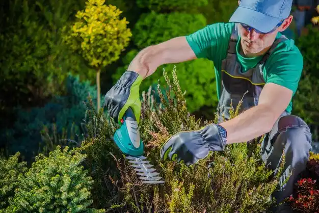 landscaping services New Baltimore